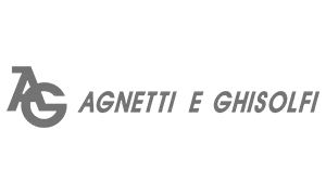 logo-agnettighisolfi